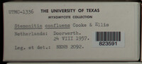 Image Associated With the Occurence